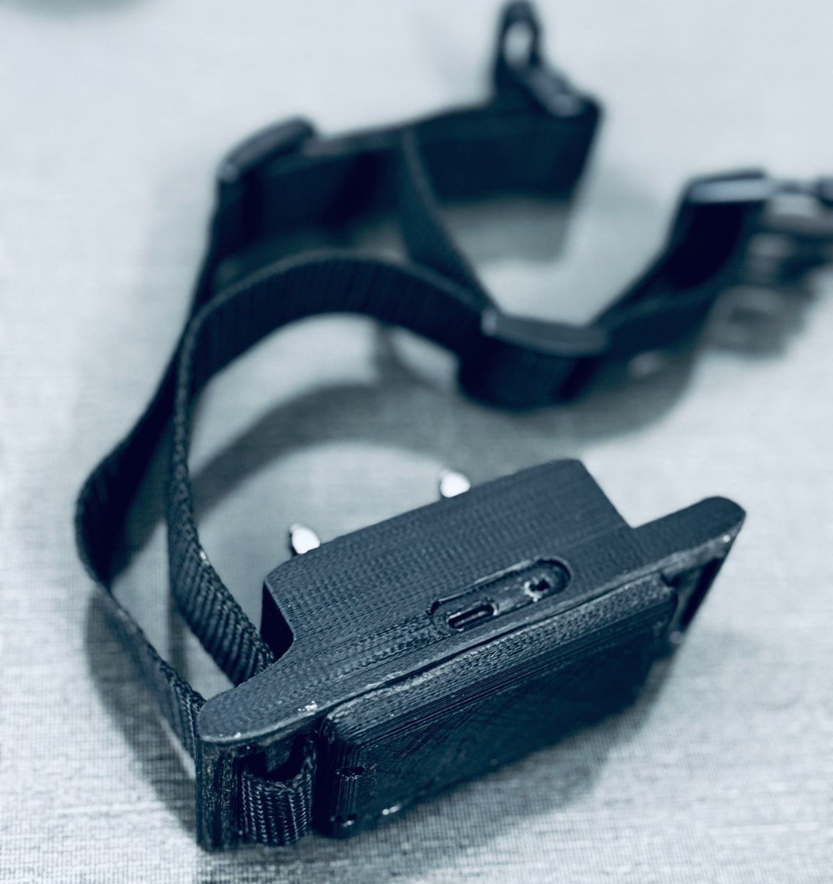 Pet Training Device Working Button