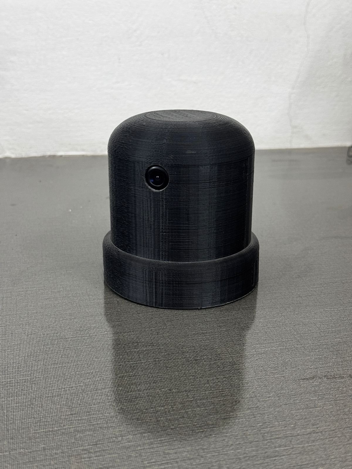 Pet Training Device Final 3D Product