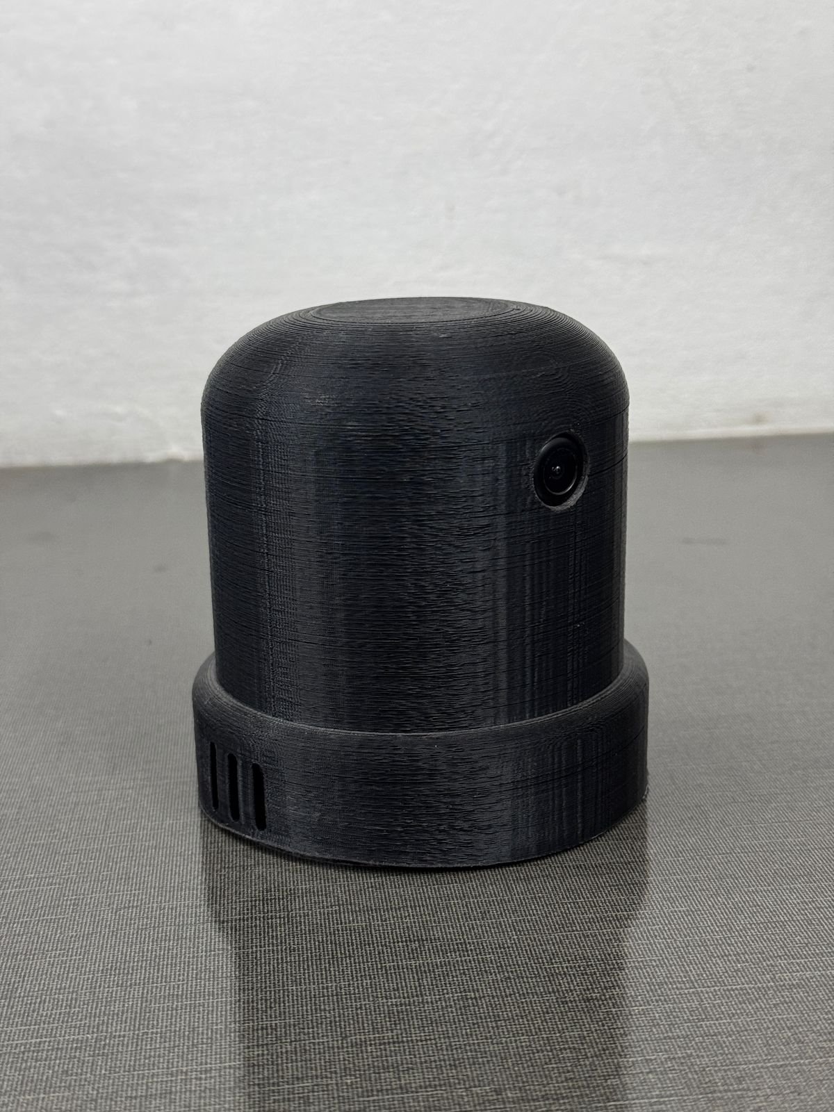 Pet Training Device Prototype